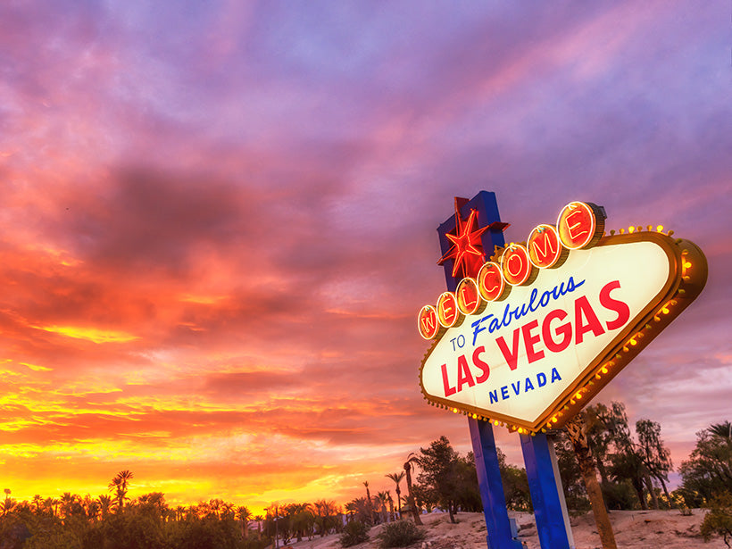 Under the Desert Sky