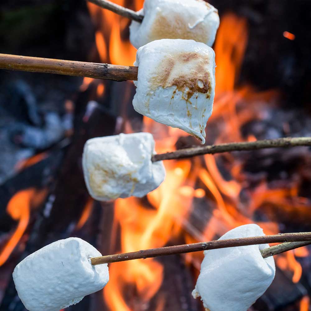 Marshmallow Fireside