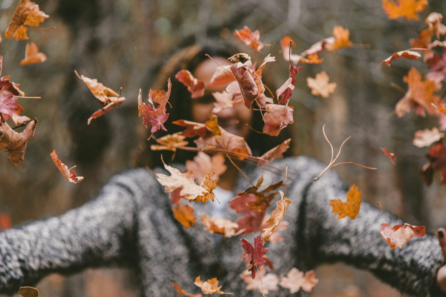 Falling Leaves